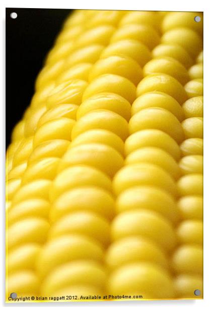 Indiana Corn Acrylic by Brian  Raggatt