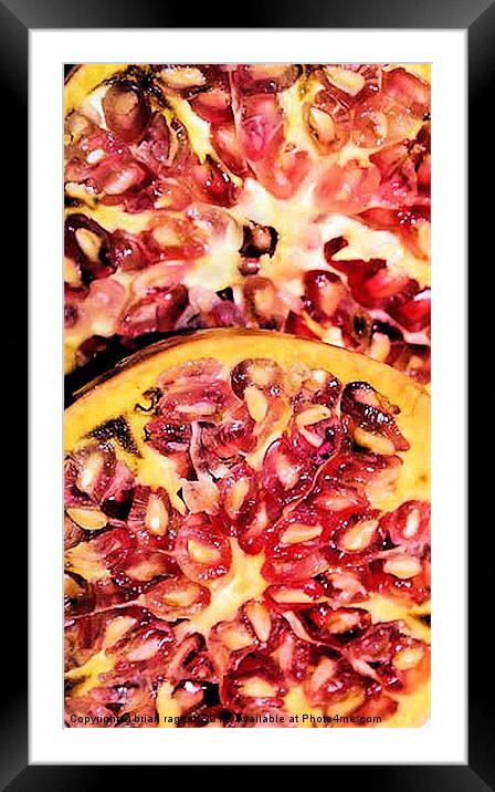 Pomegranate Seeds Framed Mounted Print by Brian  Raggatt