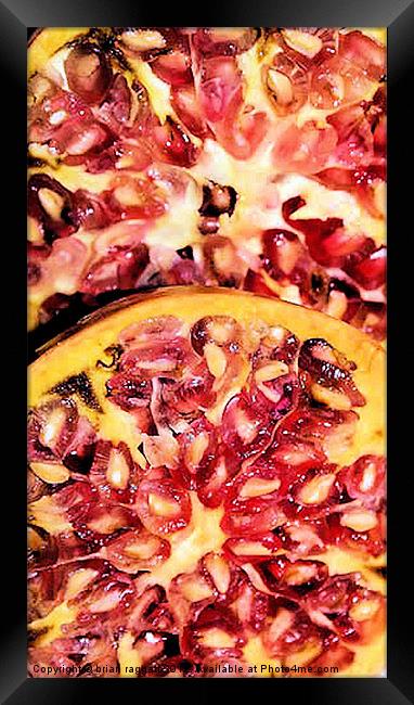 Pomegranate Seeds Framed Print by Brian  Raggatt