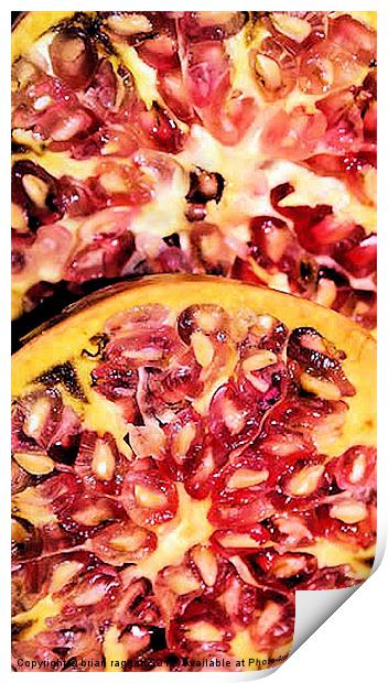 Pomegranate Seeds Print by Brian  Raggatt