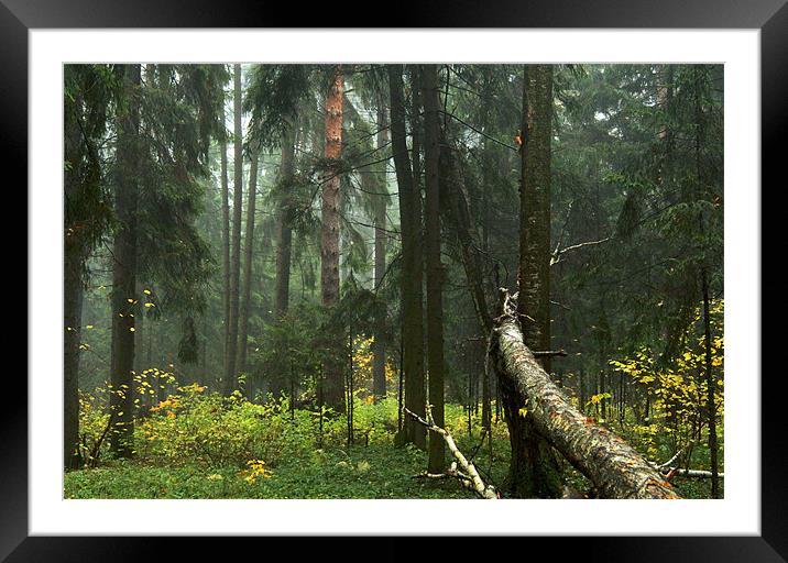 Jurassic Park Framed Mounted Print by Armine Nersisyan