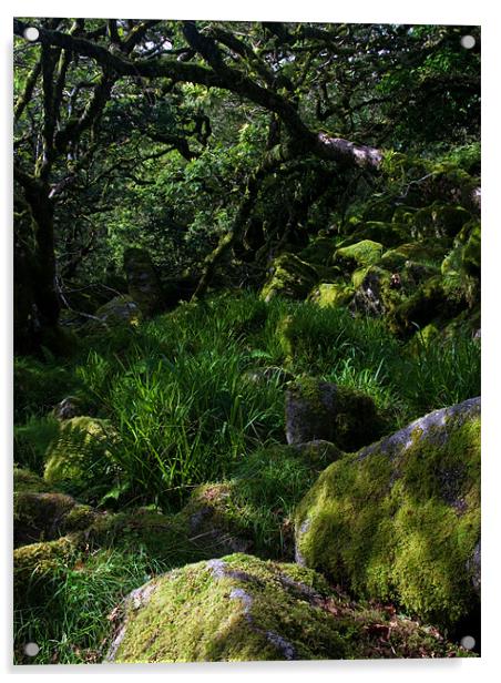 Mystical Woodland Acrylic by Judy Andrews