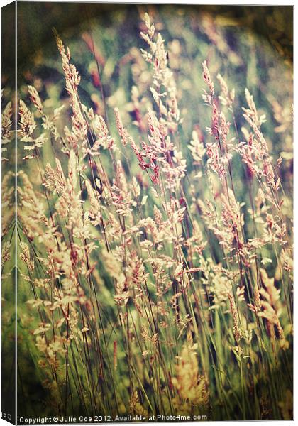 Pale Grasses Canvas Print by Julie Coe