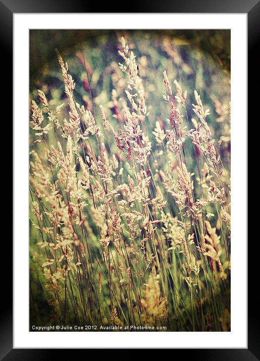 Pale Grasses Framed Mounted Print by Julie Coe