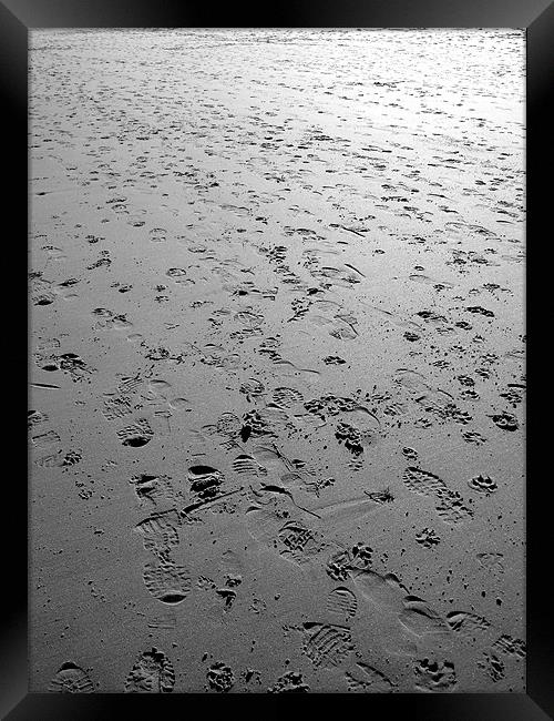 footsteps Framed Print by Shaun Cope