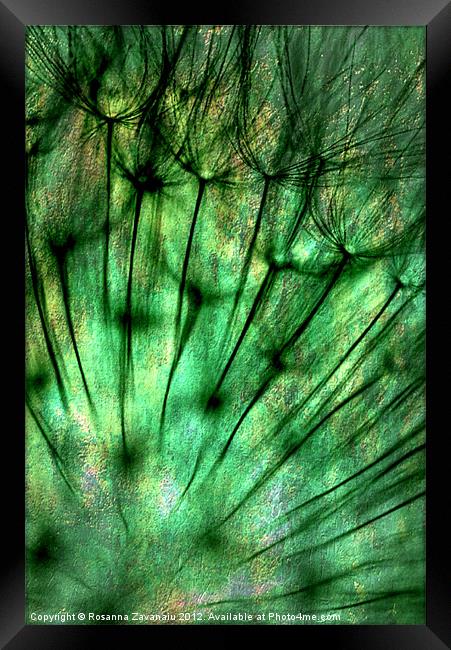 Painted Dandelion Green. Framed Print by Rosanna Zavanaiu