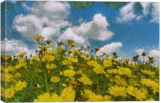 Tansy Blooms Canvas Print by Michael Goyberg