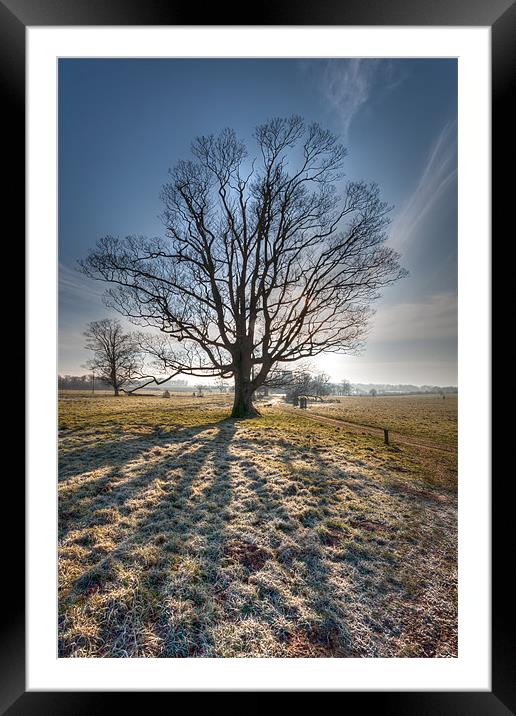 Frosty Start - lone tree Framed Mounted Print by Simon Wrigglesworth