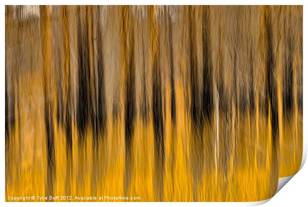 Forest Fire Print by Tylie Duff Photo Art