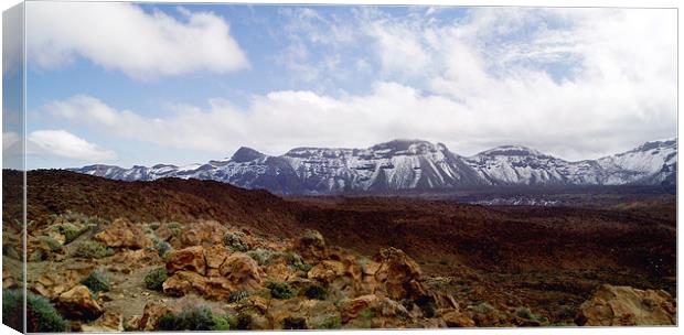 Spain - Parque National del Teide  Canvas Print by David Turnbull