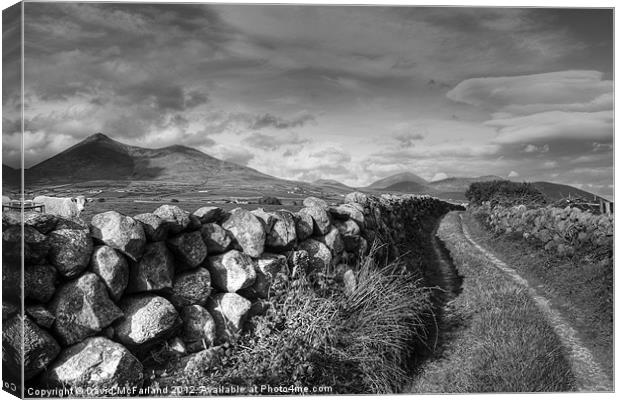 Path to the Mourne Mountains Canvas Print by David McFarland