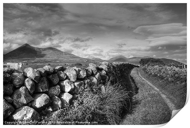 Path to the Mourne Mountains Print by David McFarland