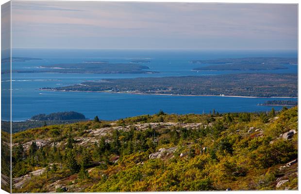 View from Cadillac Mountain Canvas Print by Thomas Schaeffer