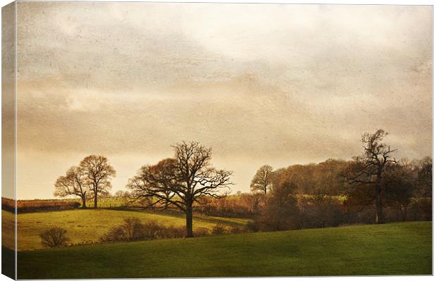 Kent Countryside Canvas Print by Dawn Cox