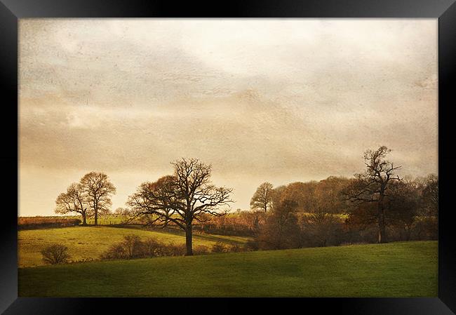 Kent Countryside Framed Print by Dawn Cox