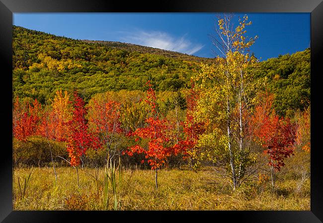 Fall colors Maine Framed Print by Thomas Schaeffer