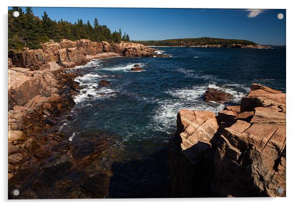 Acadia coast Acrylic by Thomas Schaeffer
