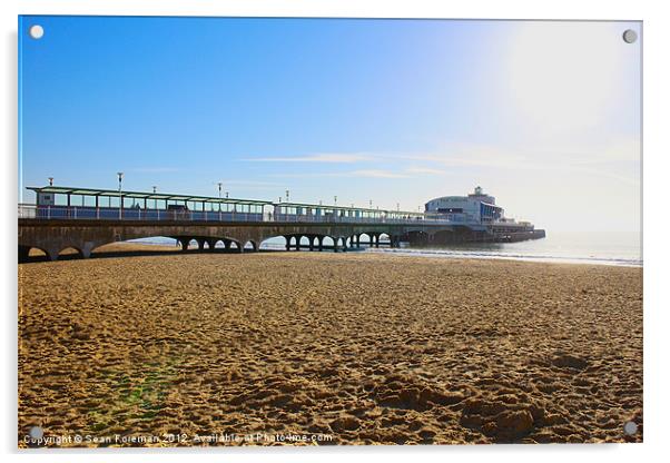 Bournemouth Pier Acrylic by Sean Foreman