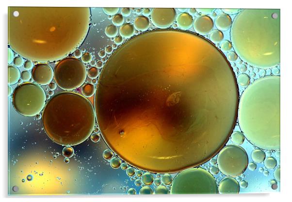 Oil Droplets Acrylic by Mike Gorton