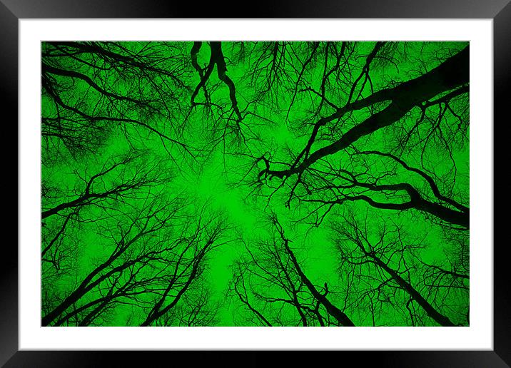 Root or Branch – “Green Positive Image”  Framed Mounted Print by Simon Griffiths