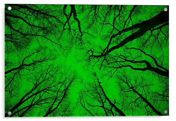 Root or Branch – “Green Positive Image”  Acrylic by Simon Griffiths