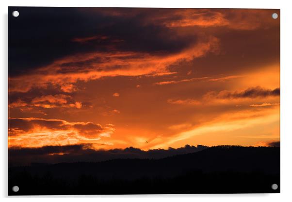 Western Sunset Acrylic by Ian Middleton