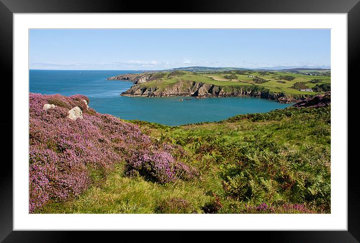 Porth Wen Framed Mounted Print by Gail Johnson