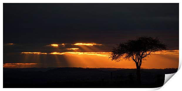 Sunset Rays Print by Tracey Whitefoot