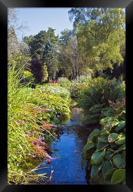 Thorp Perrow Arboretum 2 Framed Print by John Biggadike