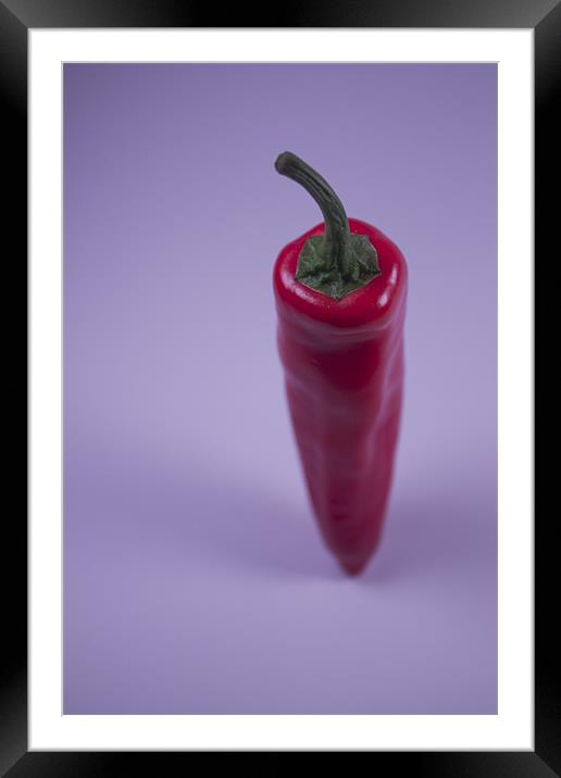 A Single Chilli Framed Mounted Print by Adrian Wilkins
