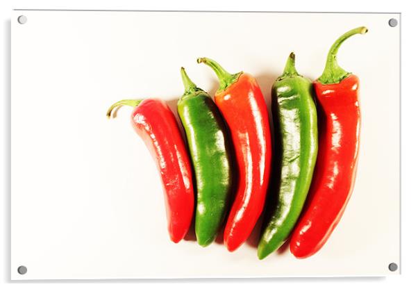 Five Chillis Acrylic by Adrian Wilkins