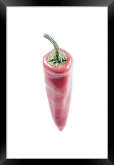 Red Hot Chilli Framed Print by Adrian Wilkins