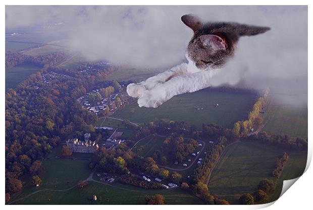 Charlie - Super cat  Print by David Turnbull