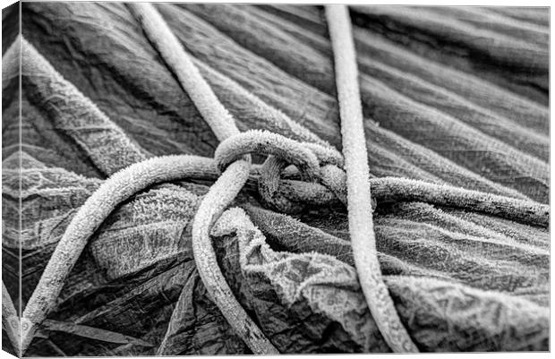 Frosted Rope Canvas Print by Gavin Wilson