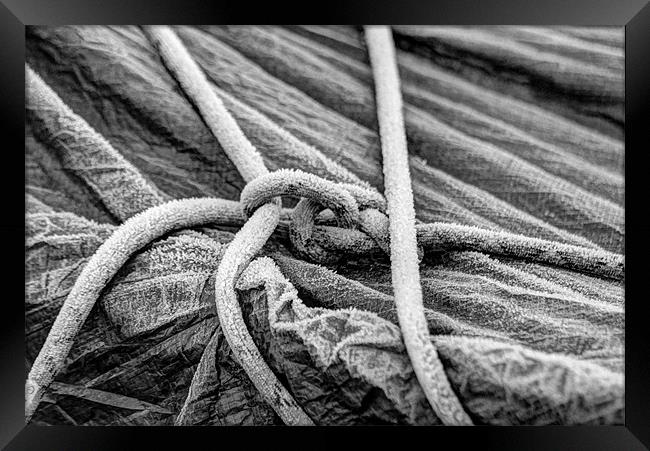 Frosted Rope Framed Print by Gavin Wilson
