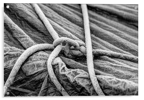 Frosted Rope Acrylic by Gavin Wilson