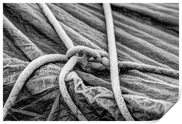 Frosted Rope Print by Gavin Wilson