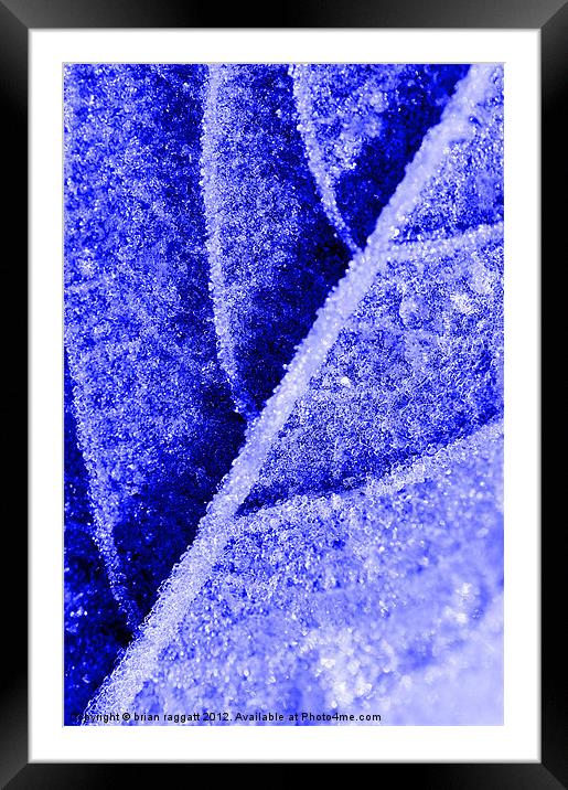 Frozen out Framed Mounted Print by Brian  Raggatt