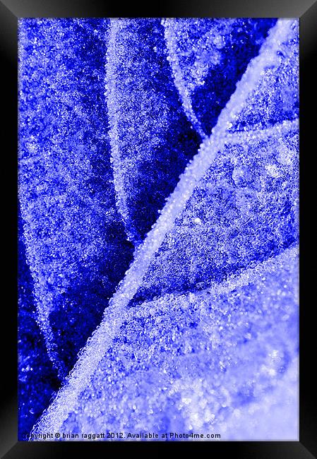 Frozen out Framed Print by Brian  Raggatt