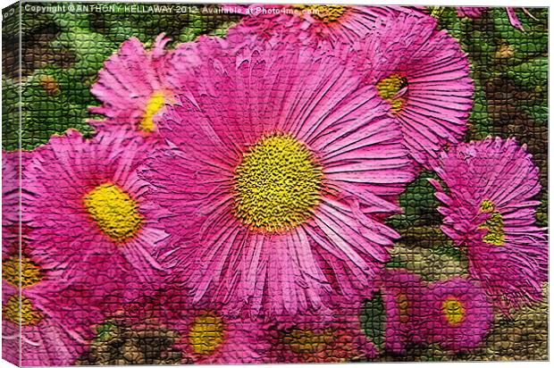 Chrysanthemums pink / yellow mosaic style Canvas Print by Anthony Kellaway