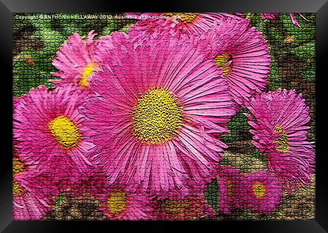 Chrysanthemums pink / yellow mosaic style Framed Print by Anthony Kellaway