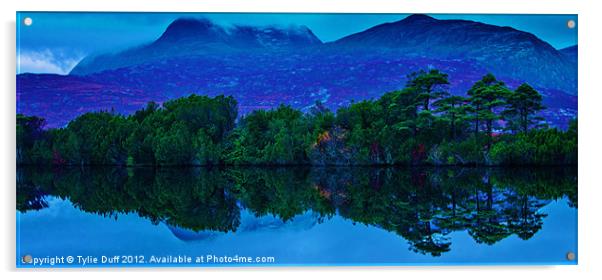 Reflections in Loch Acrylic by Tylie Duff Photo Art
