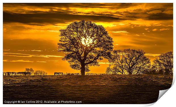 Sunrise Silhouette Print by Ian Collins
