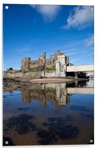 Conwy Castle Acrylic by Gail Johnson