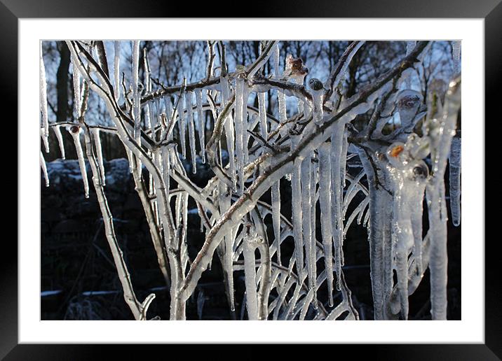 Ice Tree Framed Mounted Print by Gavin Wilson