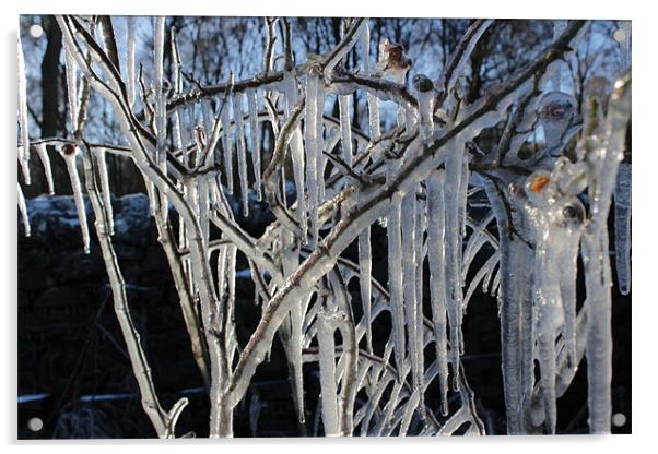 Ice Tree Acrylic by Gavin Wilson