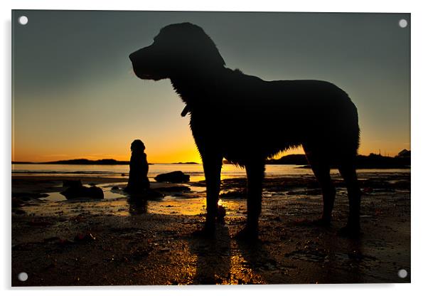 Dogs on the beach Acrylic by Gail Johnson