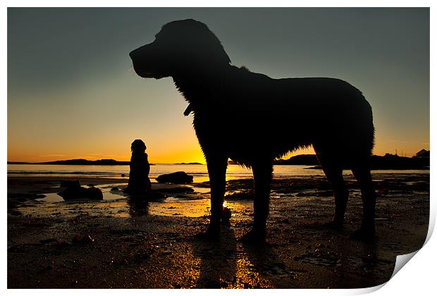 Dogs on the beach Print by Gail Johnson
