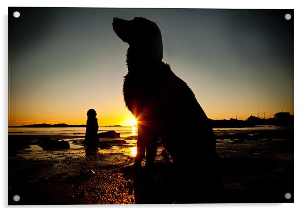 Dogs on the beach Acrylic by Gail Johnson