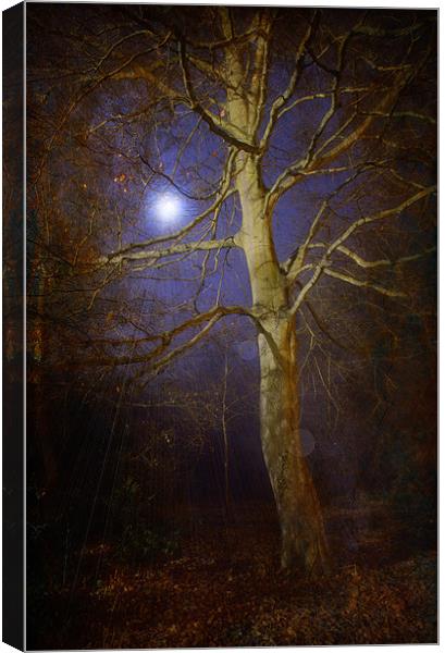 By The Light Of The Moon Canvas Print by Chris Manfield